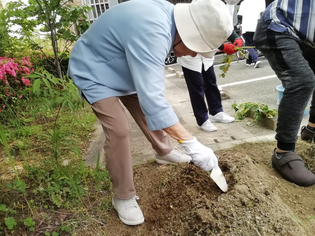 さつま芋 さつまいも 苗植え 介護施設 老人ホーム 太宰府 カルム太宰府 202506-2