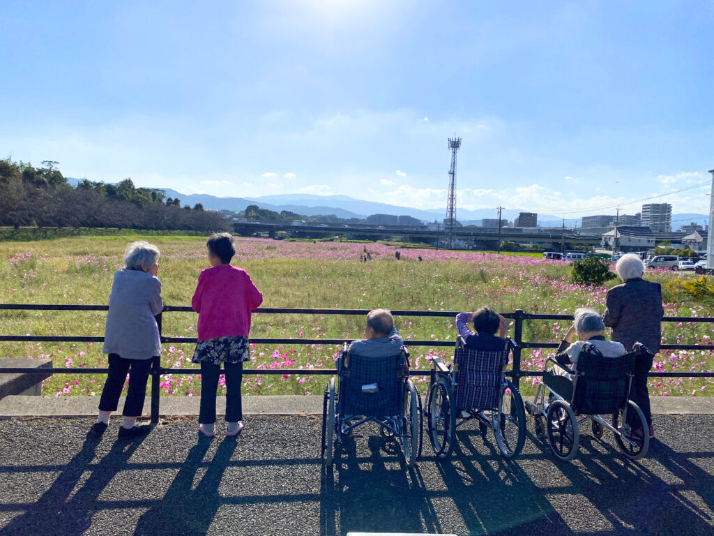 コスモス畑 秋のお出かけ 老人ホーム カルム太宰府 福岡 202510-4