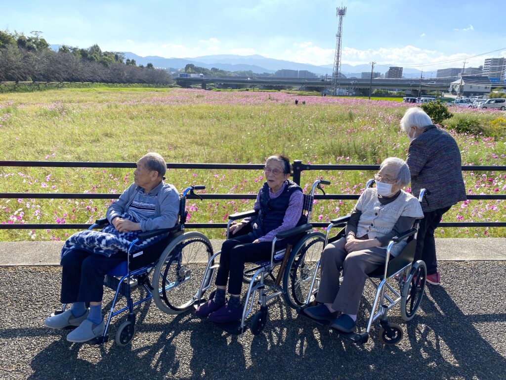 コスモス畑 秋のお出かけ 老人ホーム カルム太宰府 福岡 202510-2