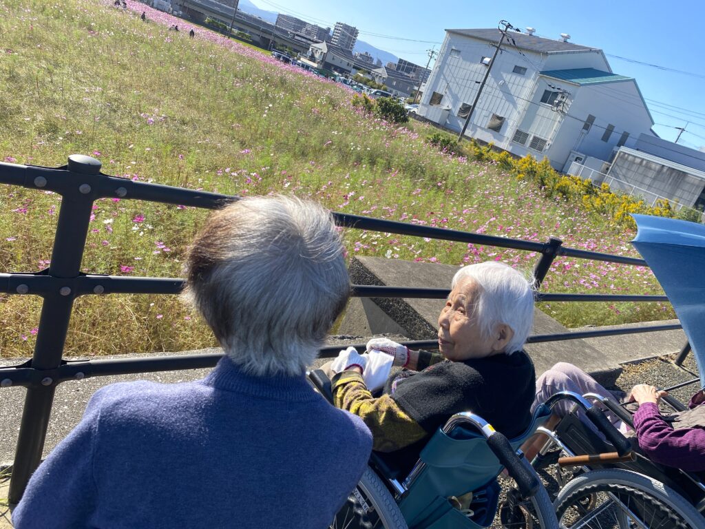 太宰府 老人ホーム カルム太宰府 コスモス 202511-6
