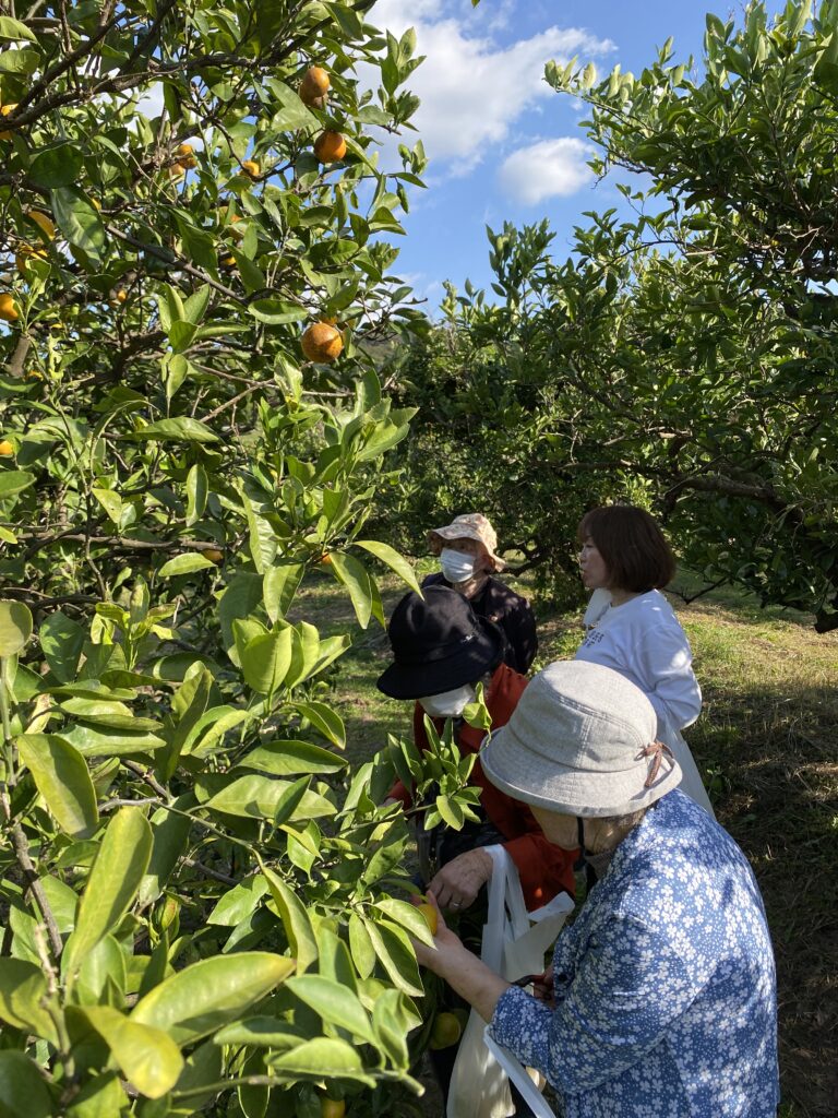 福岡農業高校へ柿狩り　福岡　介護施設　老人ホーム　カルム太宰府　202512-5