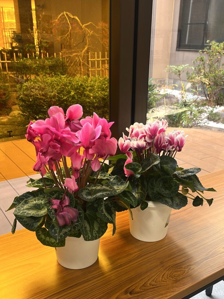 介護施設の季節飾り　福岡　老人ホーム　カルム太宰府　202602-4