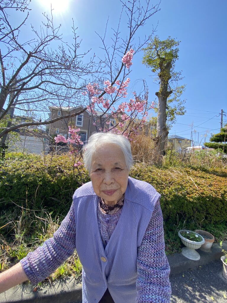 早咲きの桜ヒガンザクラが開花 　福岡　太宰府　介護施設　老人ホーム　カルム太宰府　202604-4