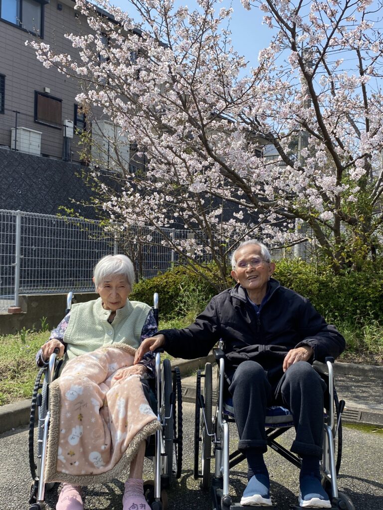 施設内でお花見イベント 介護施設 老人ホーム カルム太宰府 福岡 202604-6