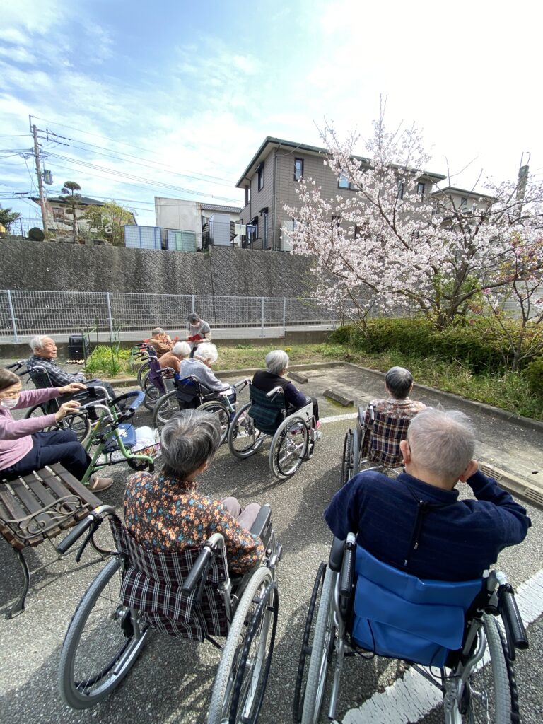 施設内でお花見イベント 介護施設 老人ホーム カルム太宰府 福岡 202604-2