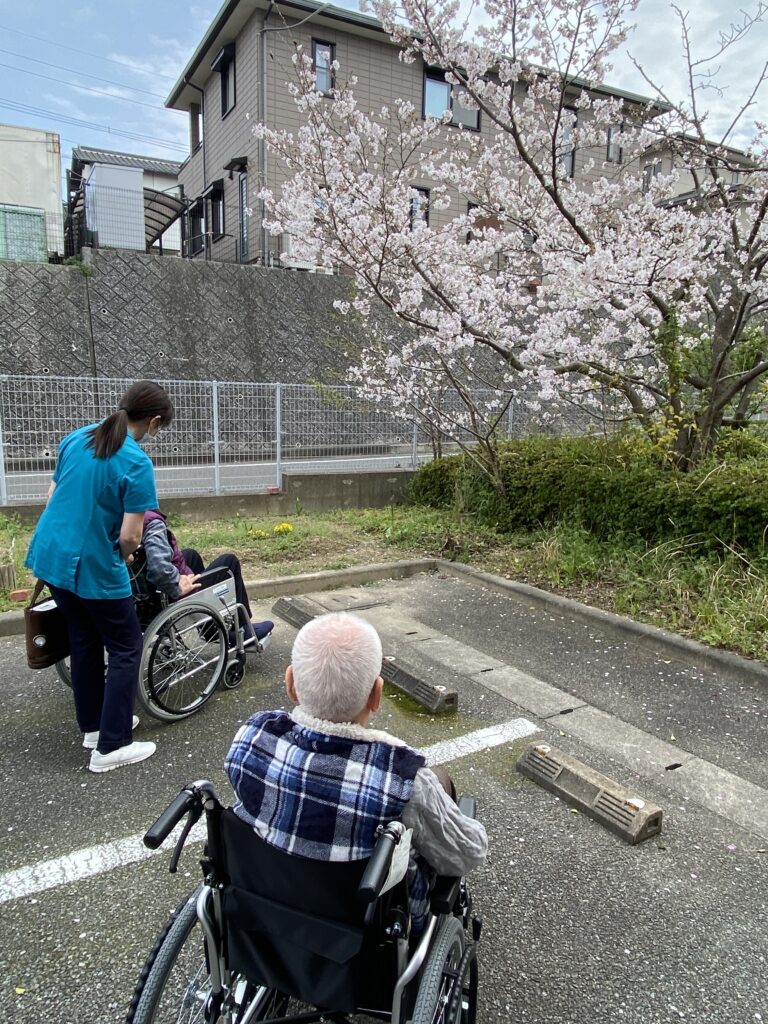 施設内でお花見イベント 介護施設 老人ホーム カルム太宰府 福岡 202604-5