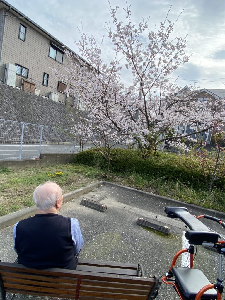施設内でお花見イベント 介護施設 老人ホーム カルム太宰府 福岡 202604-3