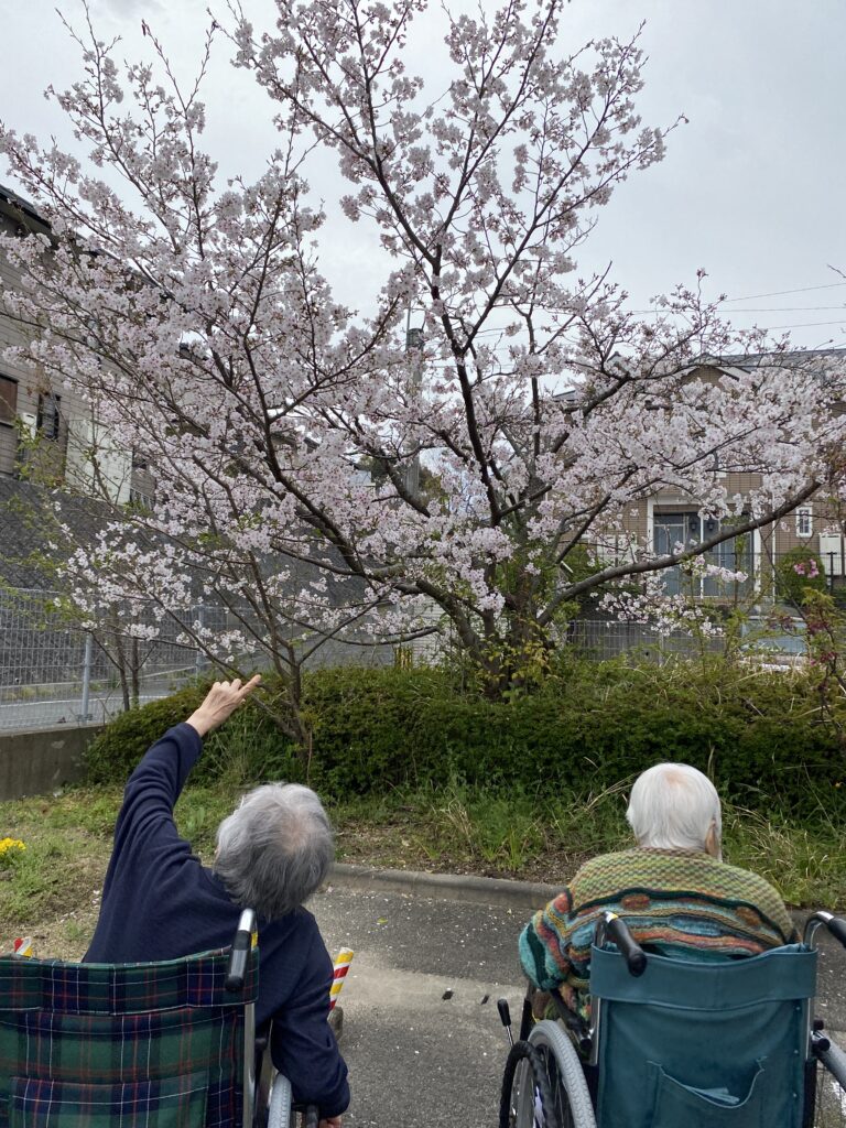 施設内でお花見イベント 介護施設 老人ホーム カルム太宰府 福岡 202604-4