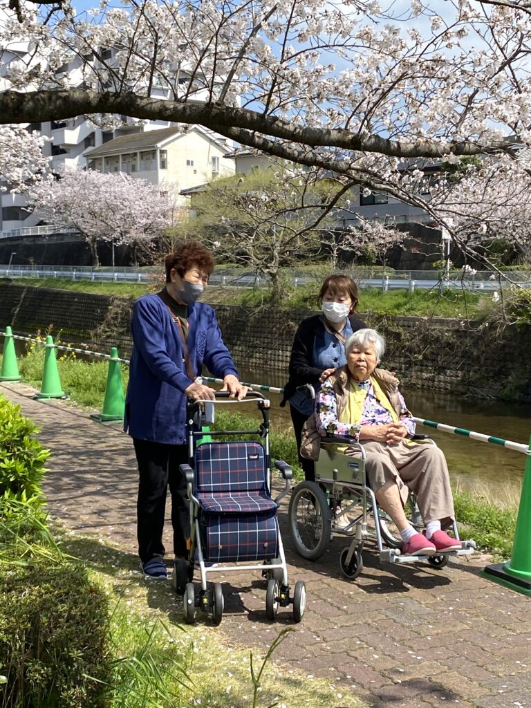 御笠川の桜並木　福岡　老人ホーム　介護施設　カルム太宰府　202604-5