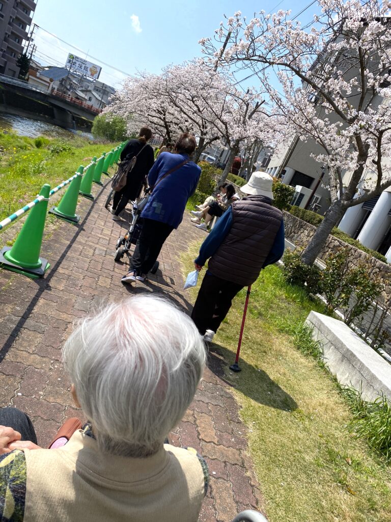 御笠川の桜並木　福岡　老人ホーム　介護施設　カルム太宰府　202604-2