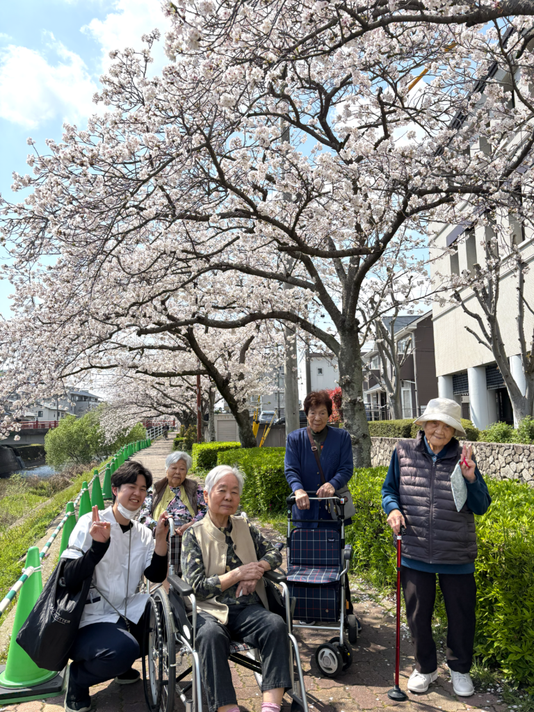 御笠川の桜並木　福岡　老人ホーム　介護施設　カルム太宰府　202604-1