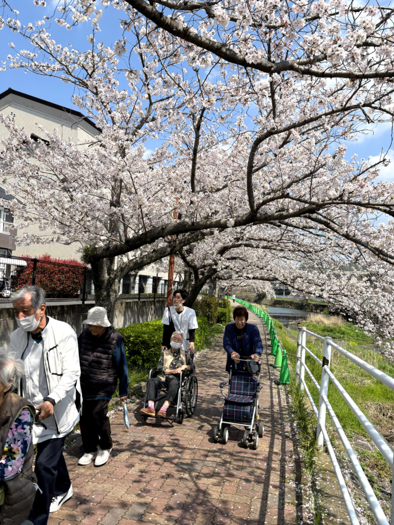 御笠川の桜並木　福岡　老人ホーム　介護施設　カルム太宰府　202604-4