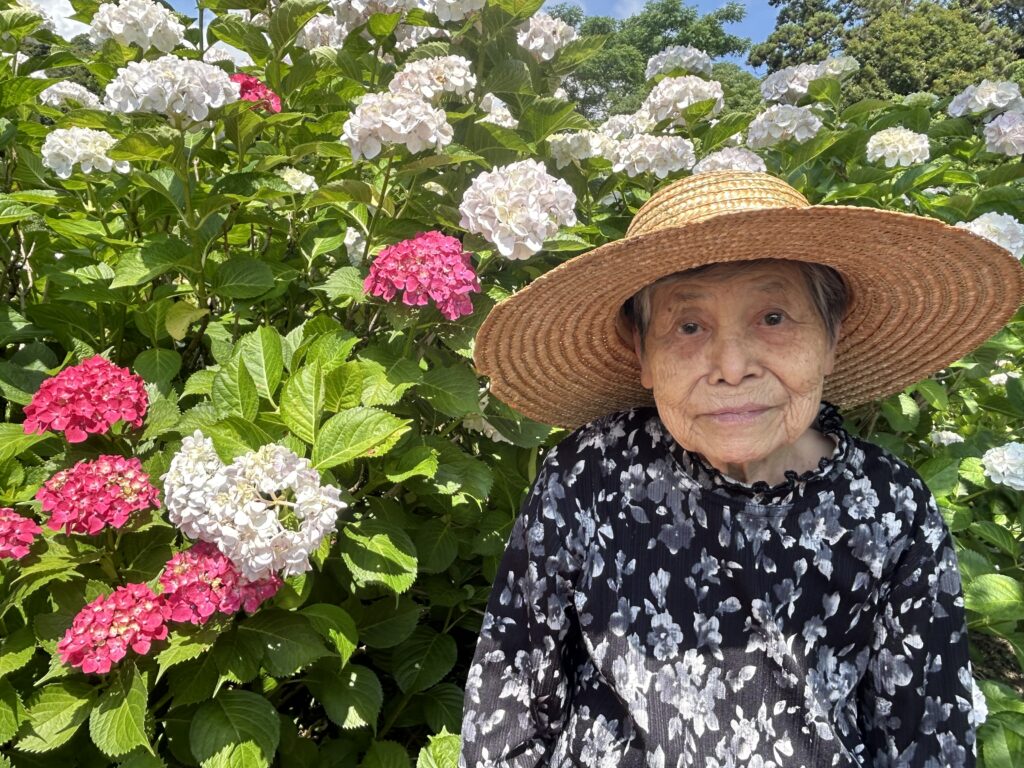 紫陽花の名所へ初夏の外出レク　福岡　老人ホーム　介護施設　カルム太宰府　202606-4