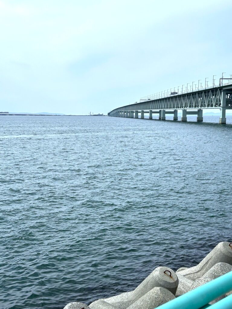 りんくう公園 りんくう 関西国際空港 お散歩 介護付き 老人ホーム カルム泉佐野 泉佐野 大阪介護施設 202505-2