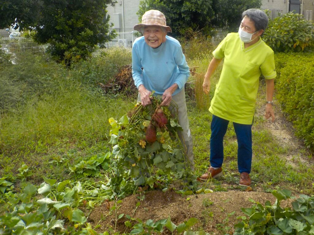 大阪　老人ホーム　介護施設　カルム泉佐野　芋ほり　202511-1