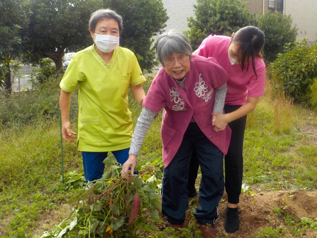 大阪　老人ホーム　介護施設　カルム泉佐野　芋ほり　202511-2