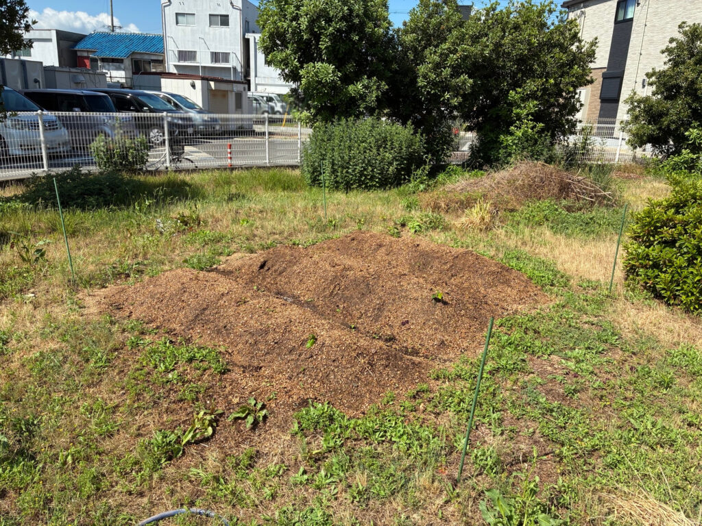 介護施設でさつまいも苗植え サステナビリティ 大阪 老人ホーム カルム泉佐野 202606-1