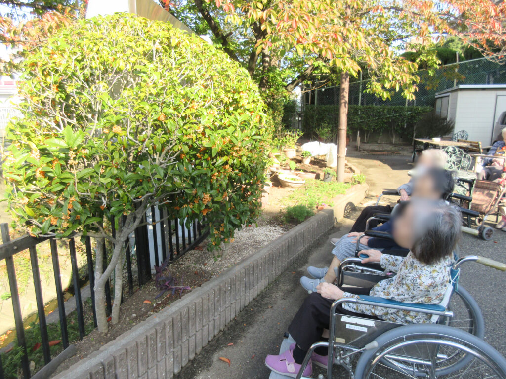 認知症予防 大阪 老人ホーム カルム桃山台 202511-1