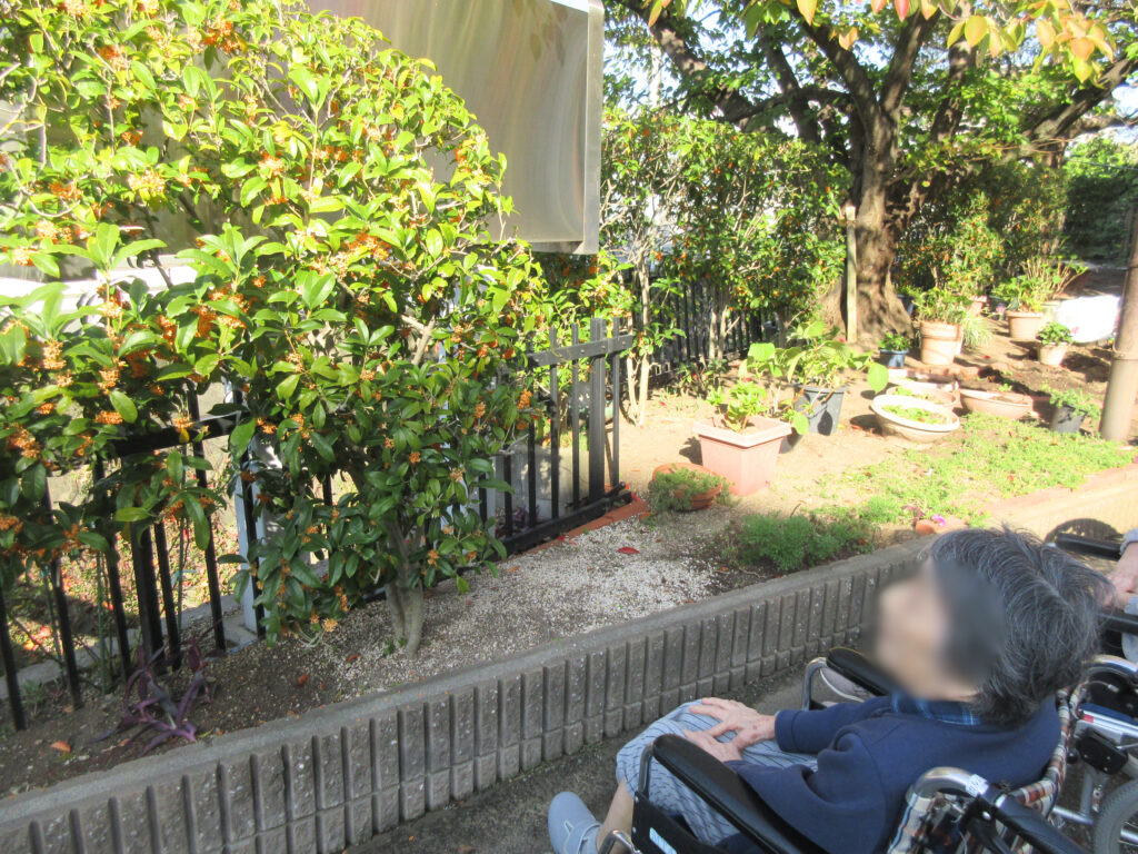 認知症予防 大阪 老人ホーム カルム桃山台 202511-3