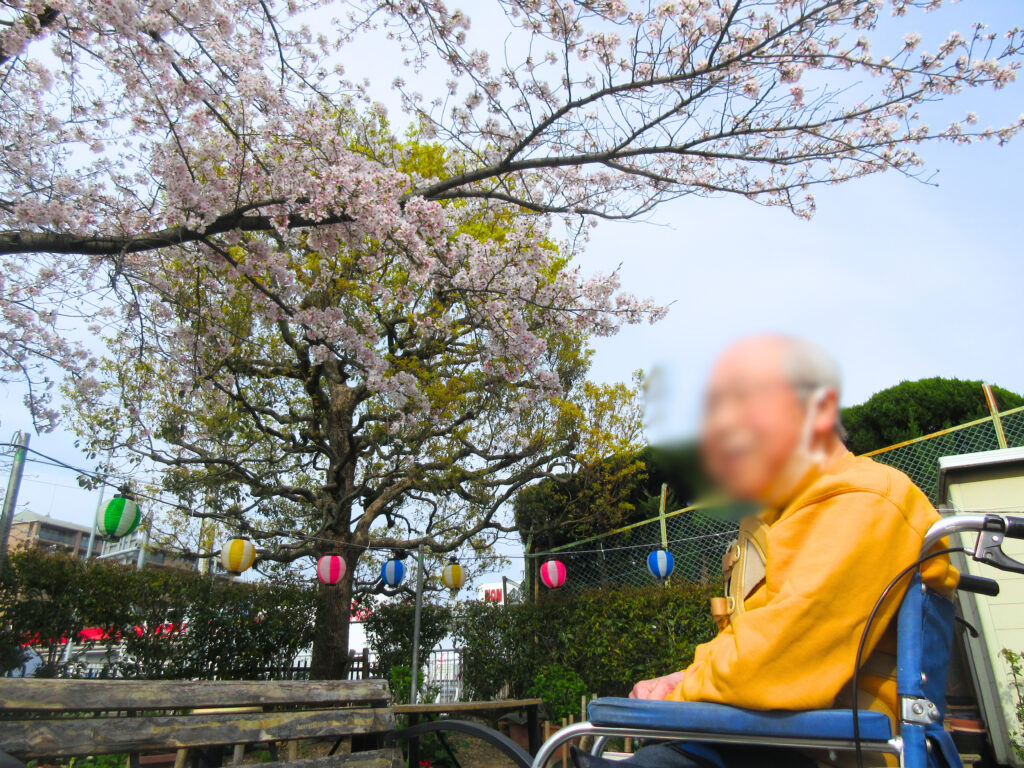 介護施設でお花見　大阪　老人ホーム　カルム桃山台　202604-4