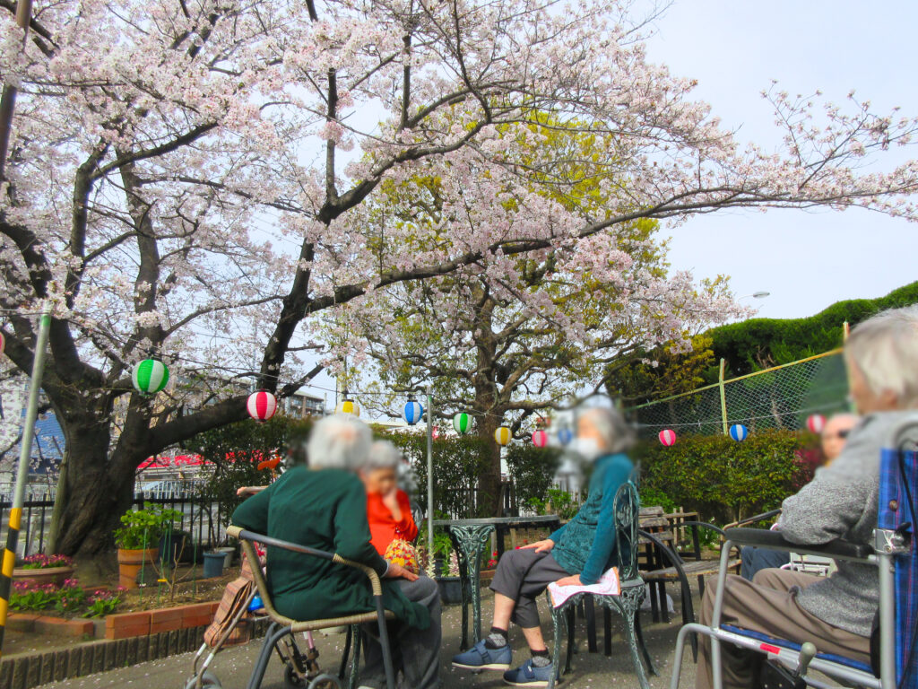 介護施設でお花見　大阪　老人ホーム　カルム桃山台　202604-1