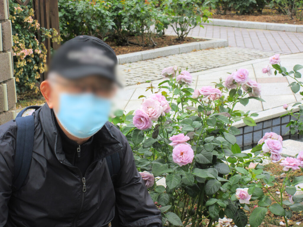 荒巻バラ園へ外出レク 介護施設 老人ホーム 大阪 吹田 カルム桃山台 202605-1