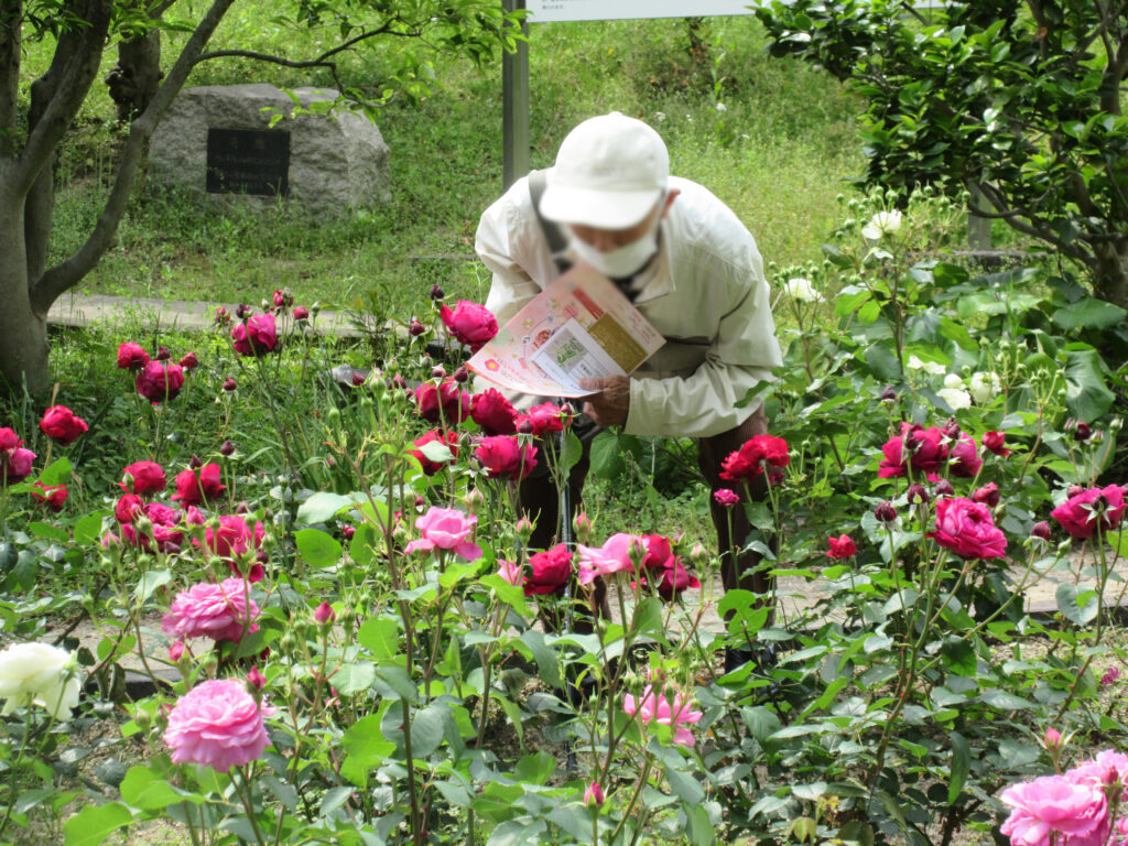 都市緑化植物園　介護施設の外出レク　大阪　老人ホーム　カルム桃山台 202605-2