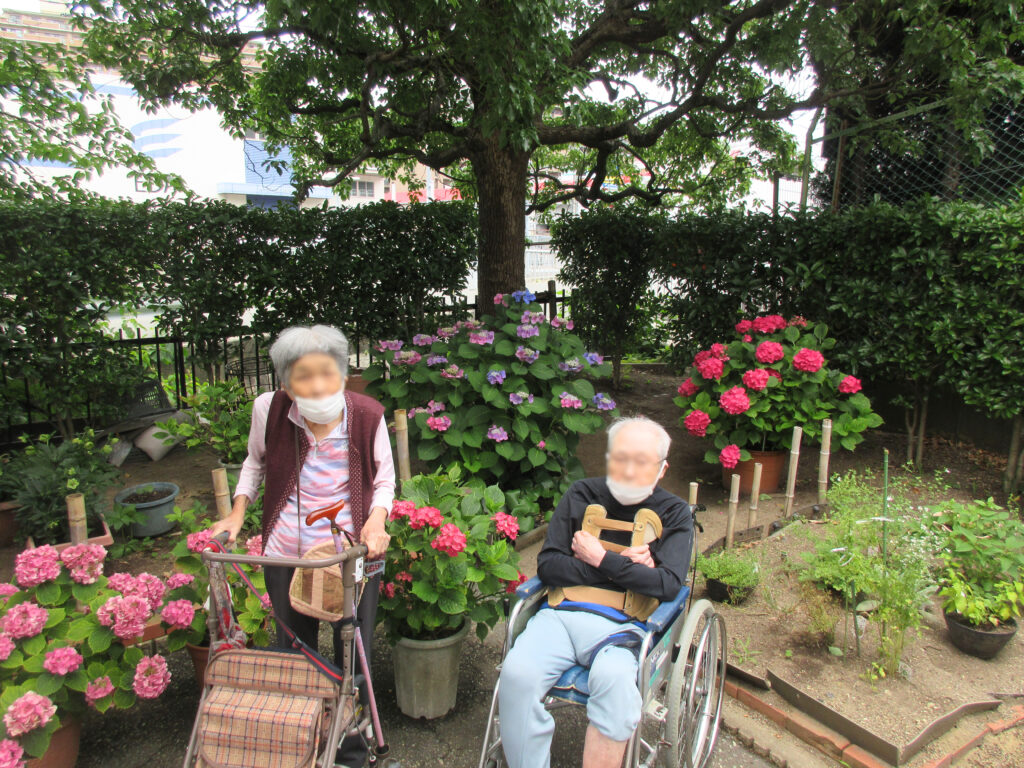 入居者様とアジサイ見学 大阪　老人ホーム　介護施設　202606-1