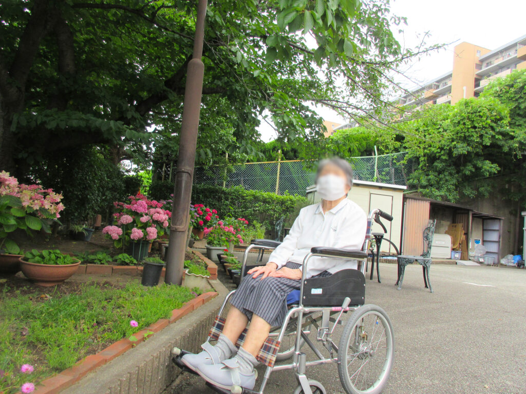 入居者様とアジサイ見学 大阪　老人ホーム　介護施設　202606-3