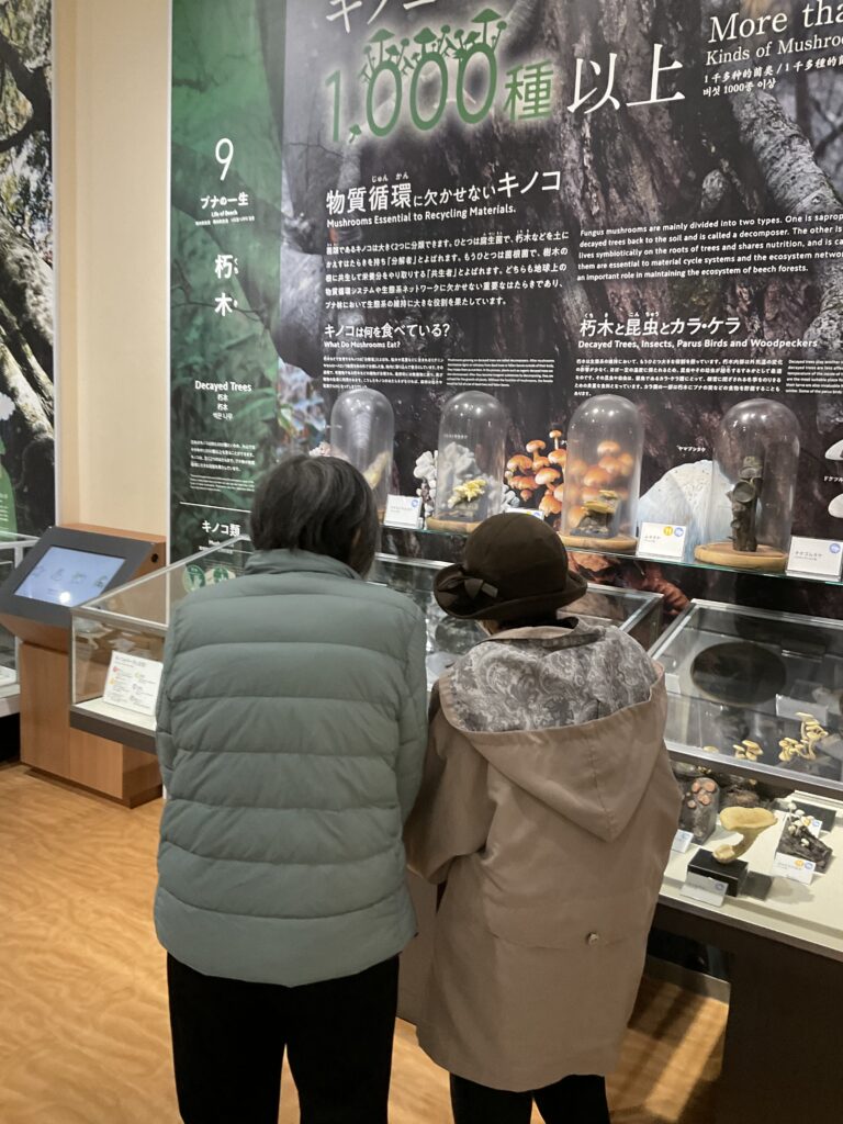 大山歴史博物館 米子 小規模多機能 カルム米子 202512-3