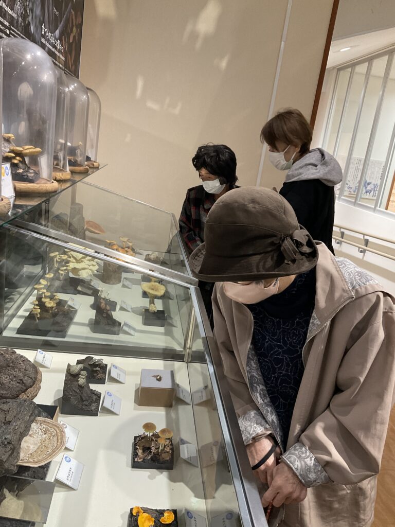 大山歴史博物館 米子 小規模多機能 カルム米子 202512-5